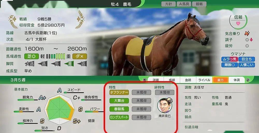 玩转赛马大亨8：比赛、训练、交易全攻略，游戏动态一网打尽！