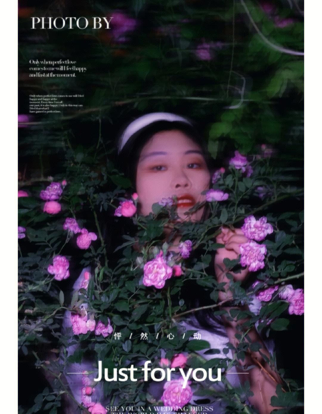 蔷薇夜宴：历史现状揭秘，惊人存档！