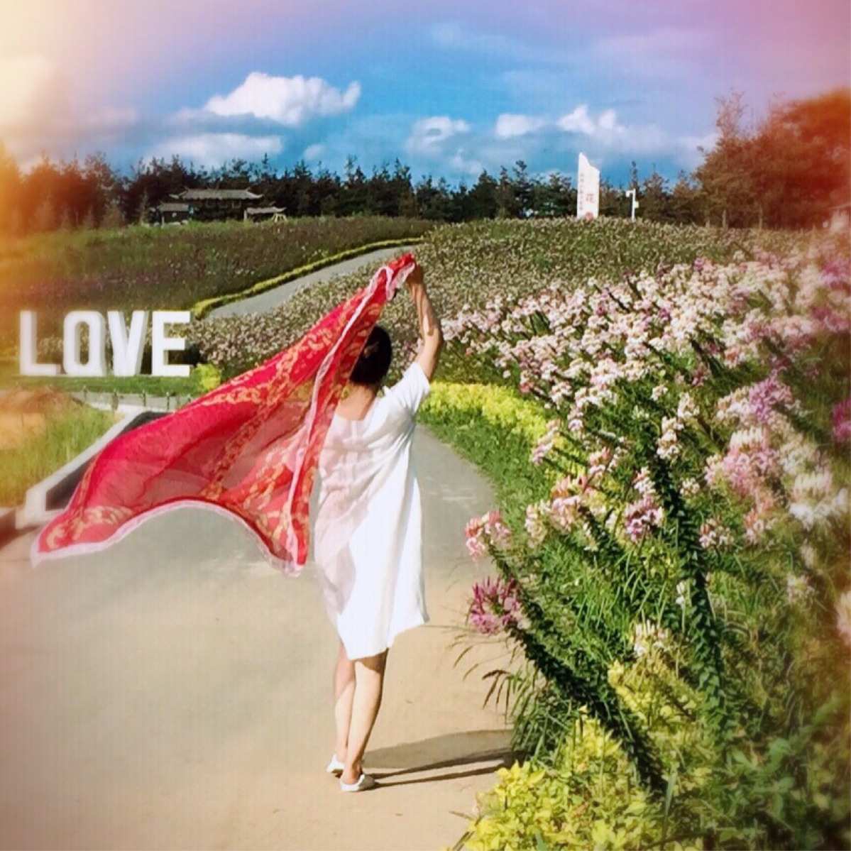 kokoro是什么意思_kokoro日文是什么意思_kokoro