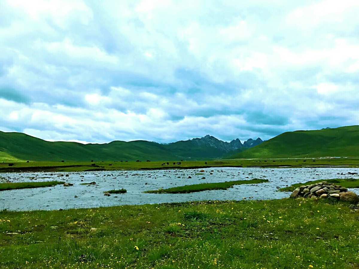kokoro是什么意思_kokoro日文是什么意思_kokoro