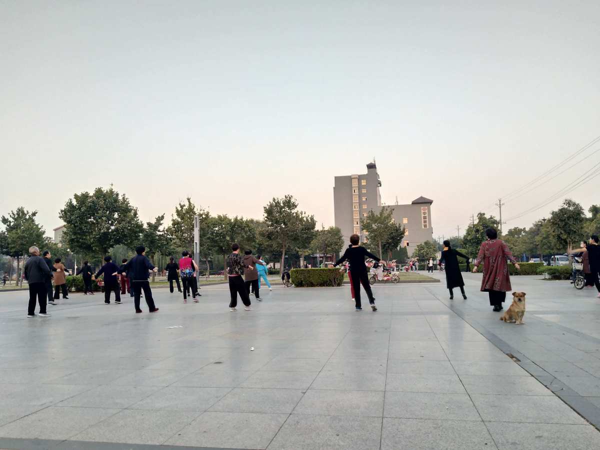 向前冲晨操_向前冲晨操视频_向前冲晨操动漫视频