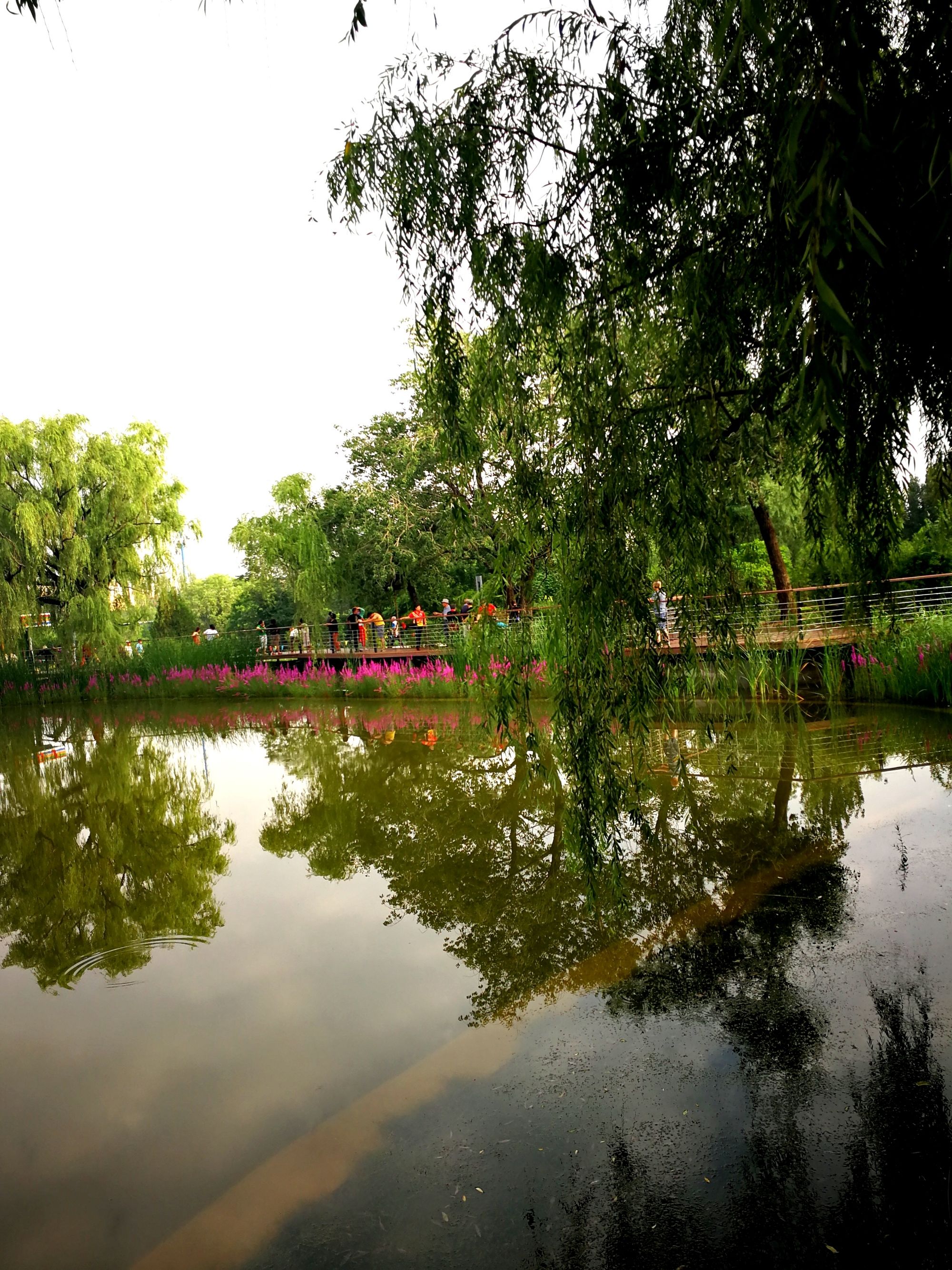 向前冲晨操视频_向前冲晨操_向前冲晨操动漫视频