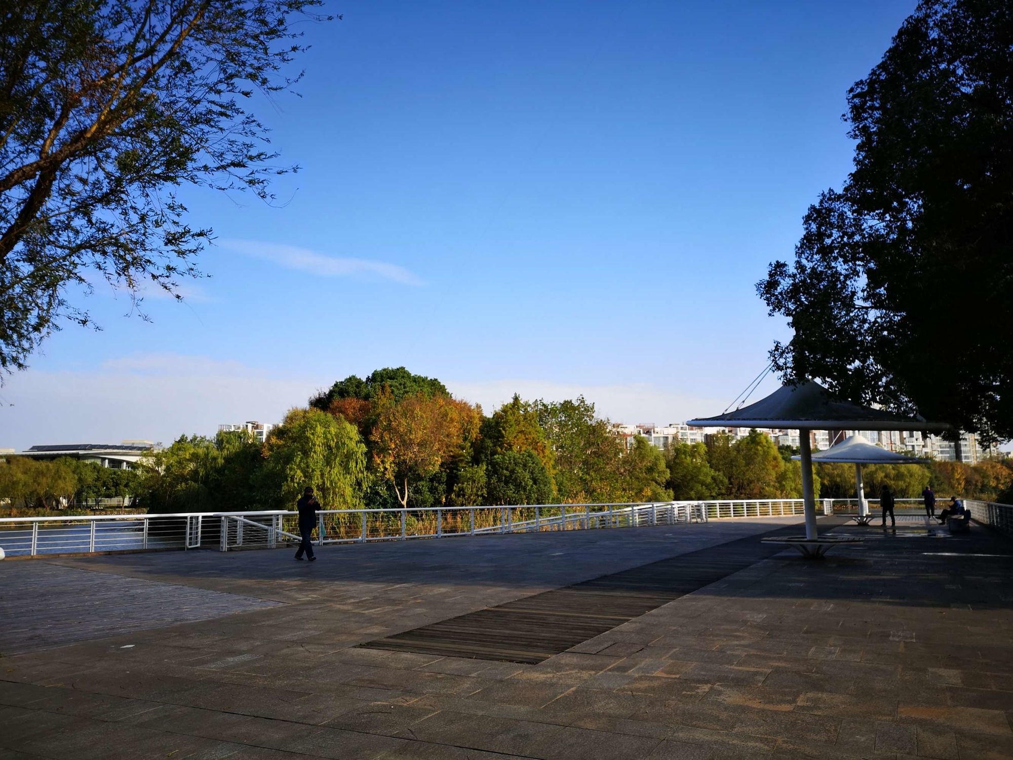 向前冲晨操动漫视频_向前冲晨操视频_向前冲晨操