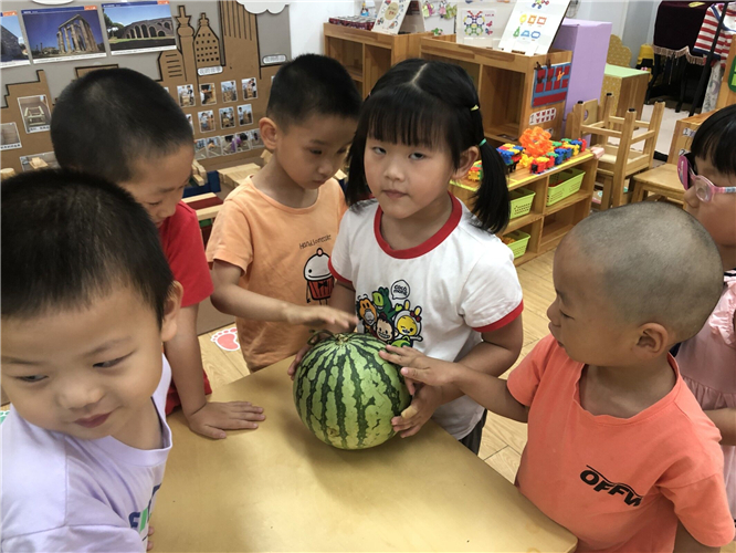 小班游戏活动切西瓜活动方案_小班切西瓜游戏规则_小班游戏 切西瓜