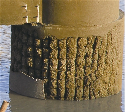 腐蚀产物_腐蚀产物分析_腐蚀产物的去除方法