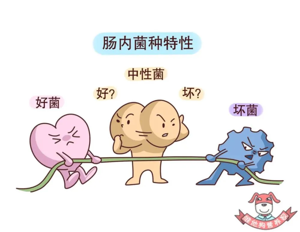拉肚子一天一夜吃什么好的最快_拉肚子拉了一天一夜吃什么药_一夜肚子拉一天吃好几次饭