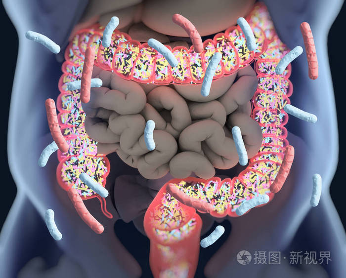 拉肚子拉了一天一夜吃什么药_拉肚子一天一夜吃什么好的最快_一夜肚子拉一天吃好几次饭