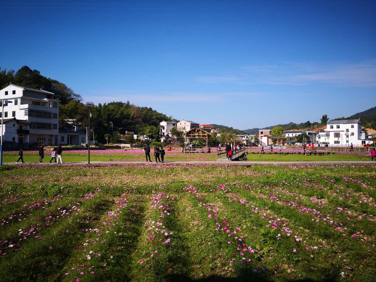 幸福公社吾村交通_一枝独秀幸福村游戏_幸福公社吾村别墅