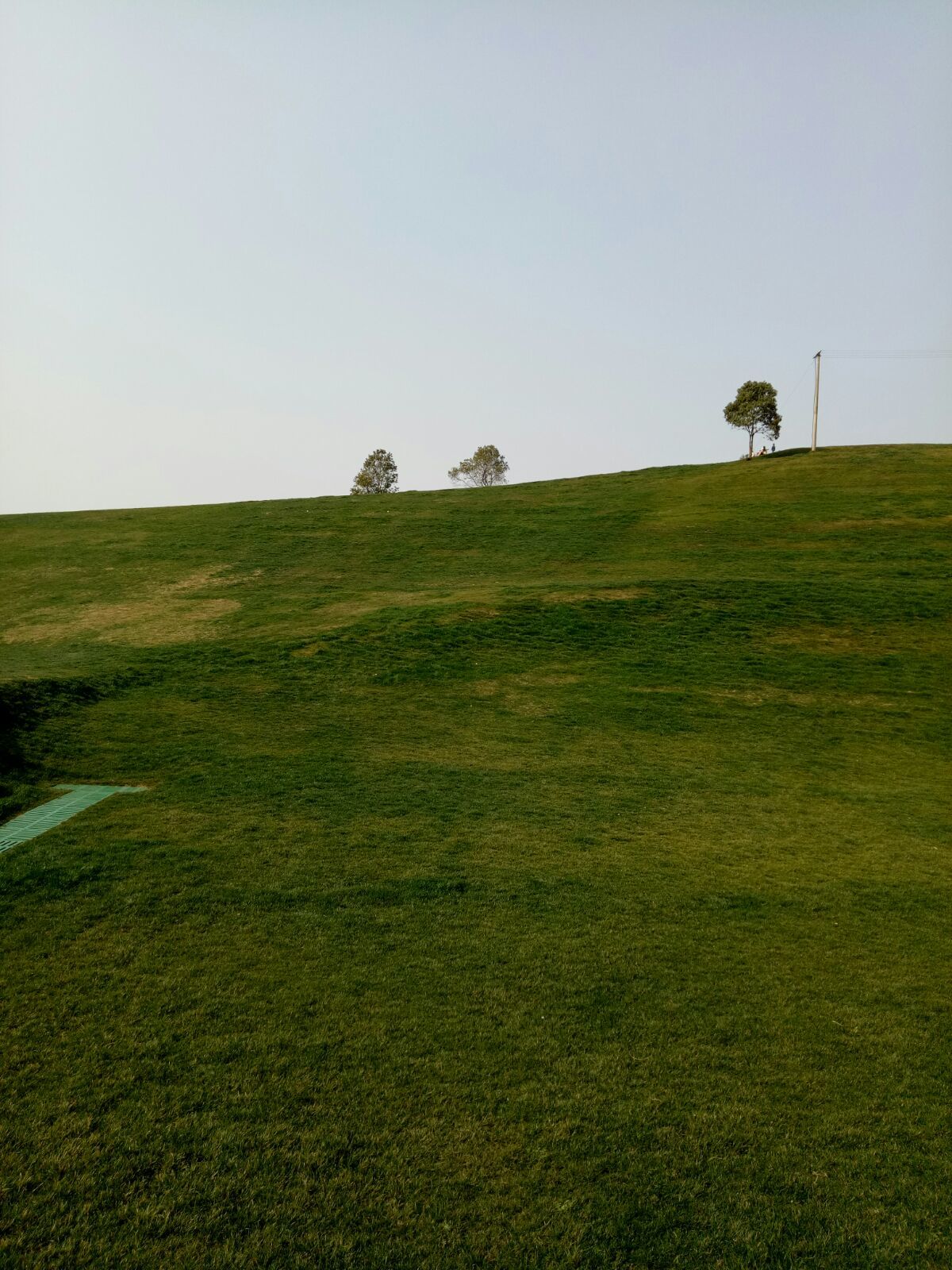 劲草风游:迷人景象 劲草风游:迷人景象
