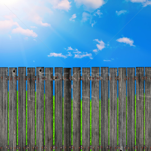 篱笆墙外2_篱笆墙外是什么意思_墙篱笆外头