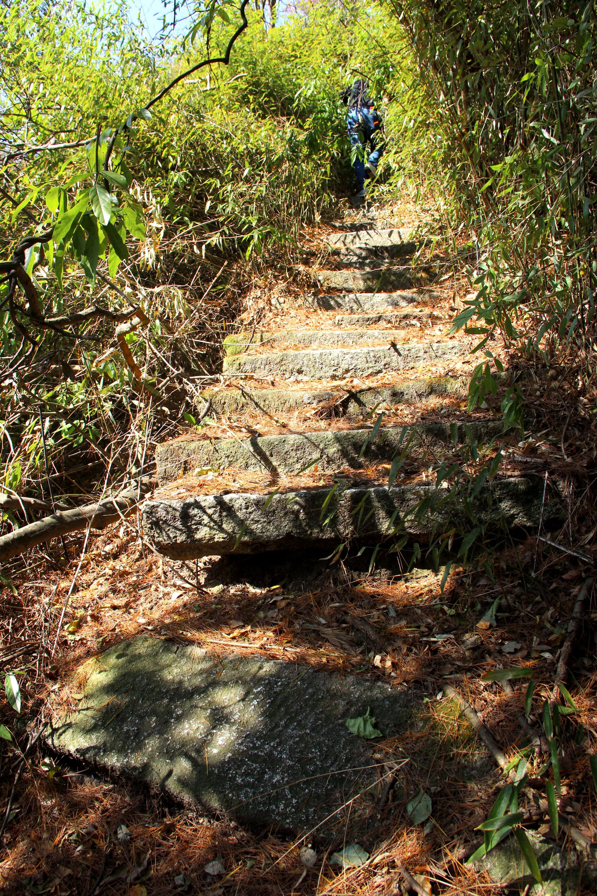 脚心吧。_脚心痒是什么原因_脚心