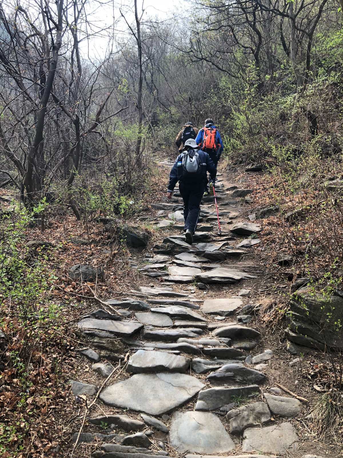 脚心痒是什么原因_脚心_脚心吧。