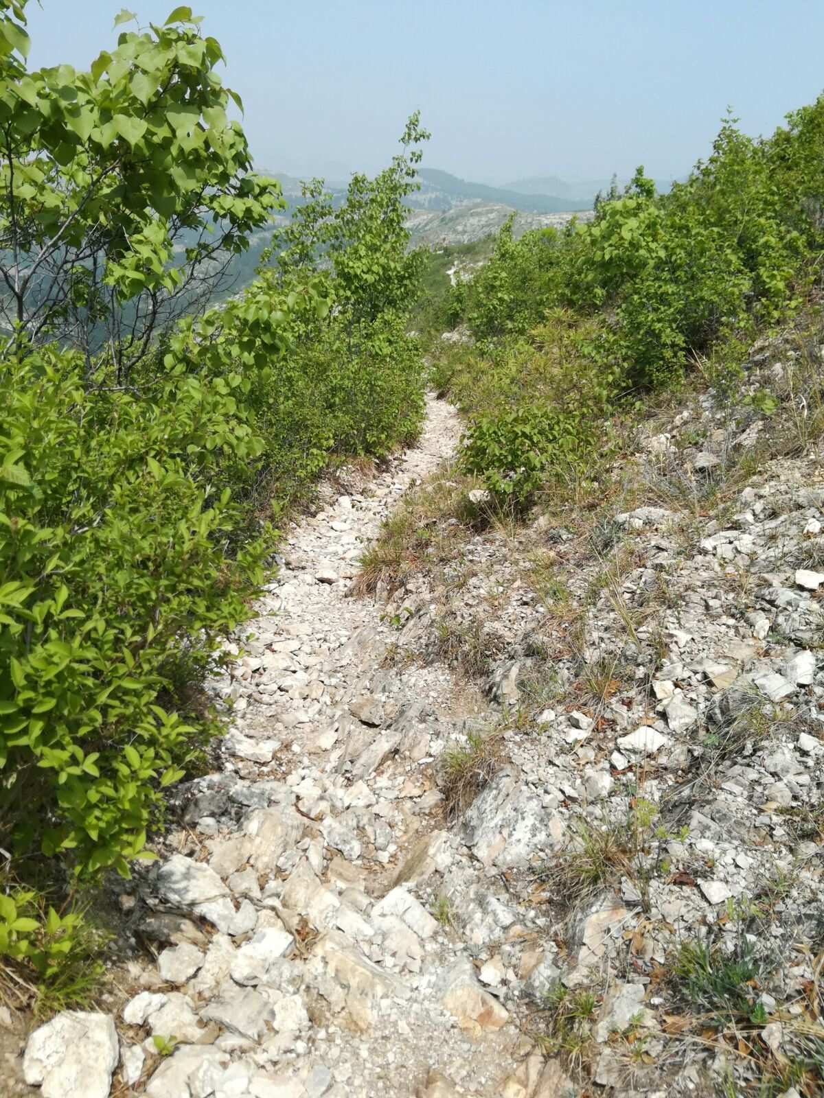 脚心痒是什么原因_脚心_脚心吧。