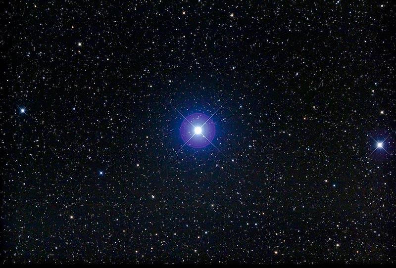 口袋图鉴4.16_口袋双子星图鉴_口袋双子星图鉴安卓