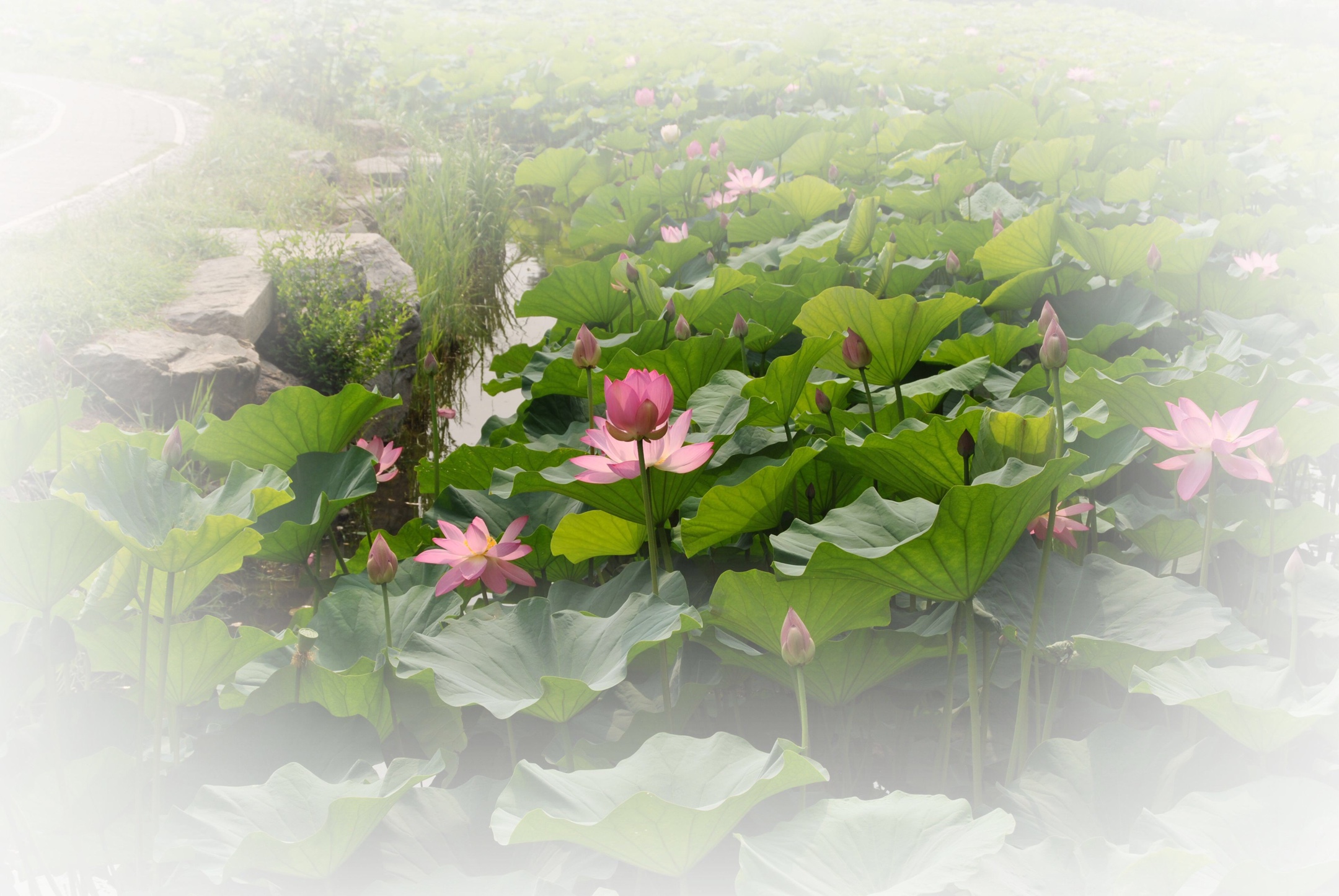 给力星期天李菲儿第六期：片花秀