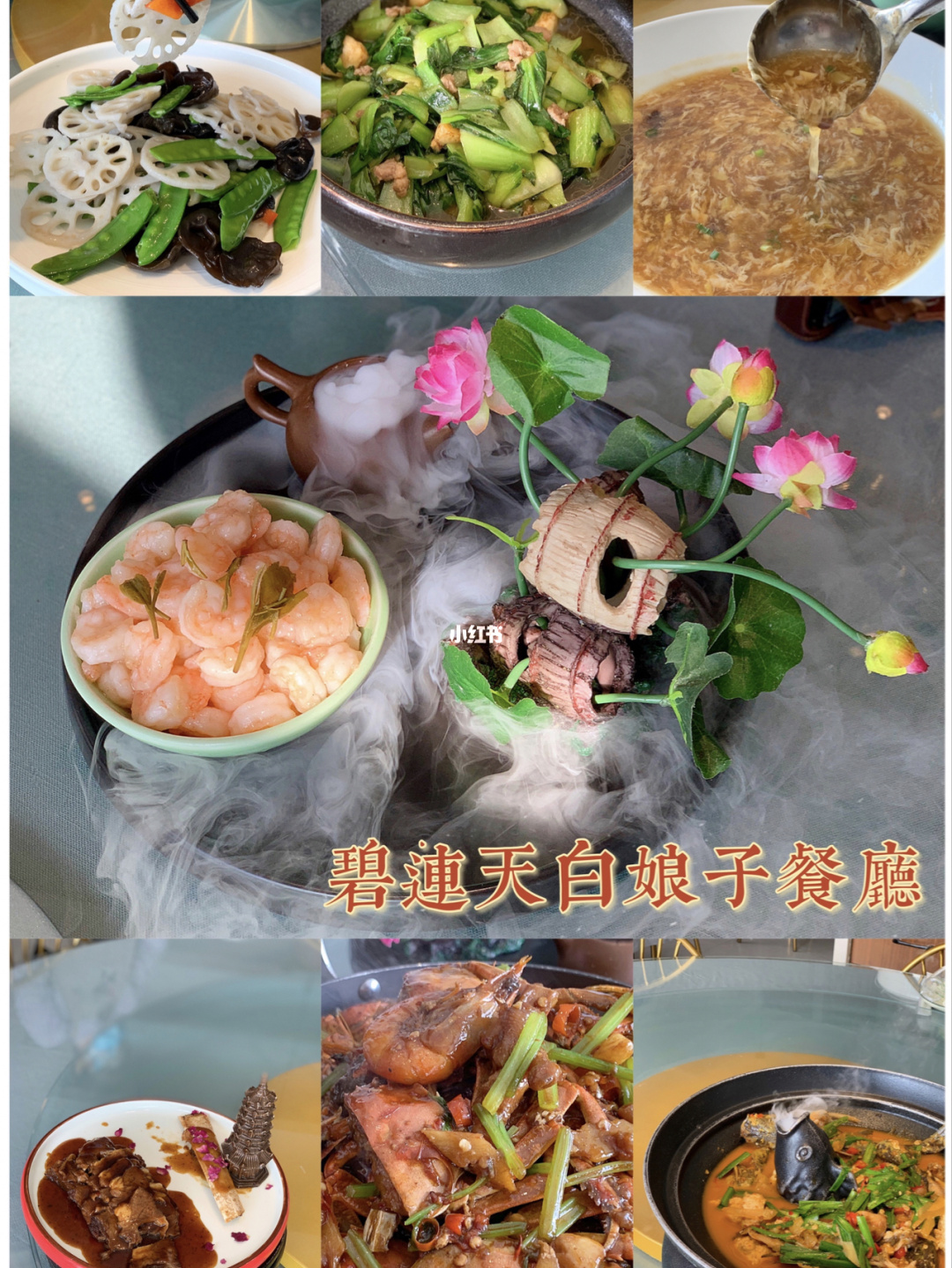 娘子吃完不许逃txt下载