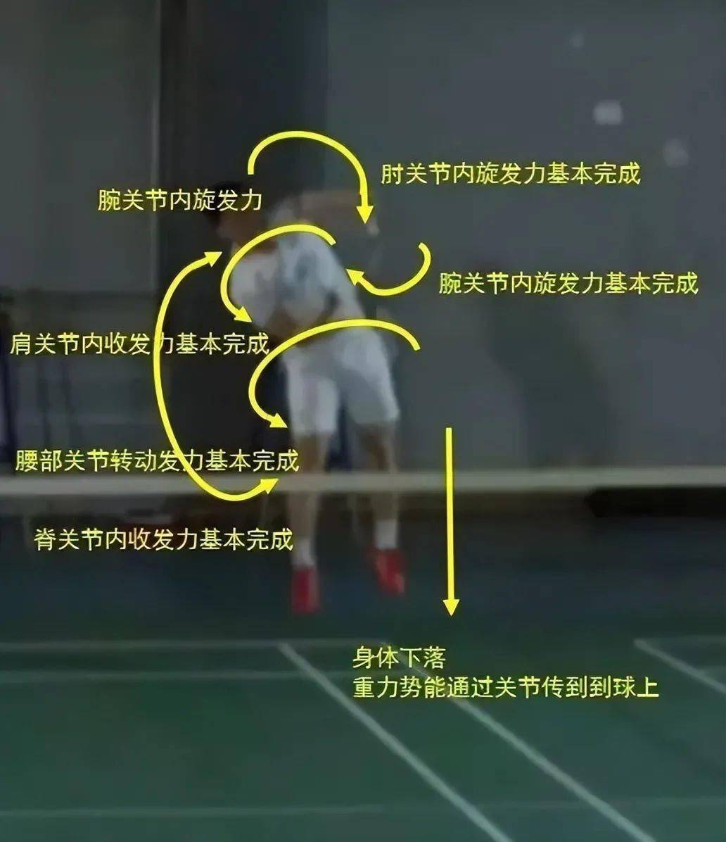 弹弹堂力度表_弹弹堂s力度计算器_弹弹堂力度计算器下载