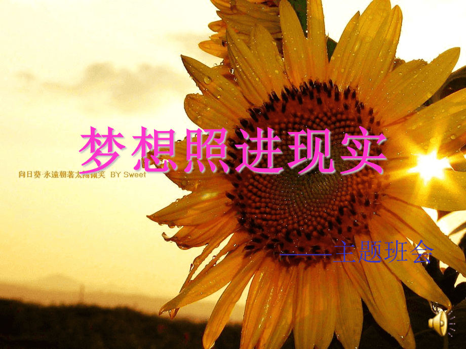 不想长大_长大想当什么_长大想成为什么样的人作文