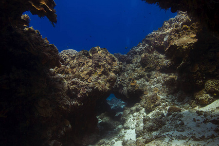 海狮计划的结局_海狮计划游戏攻略_海狮计划 游戏