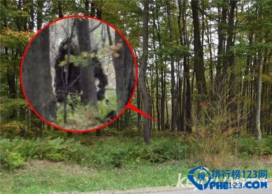 惊奇!遇见poy一sian生物 惊奇!遇见poy一sian生物