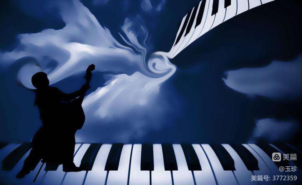 波奇网_q波_波奇塔