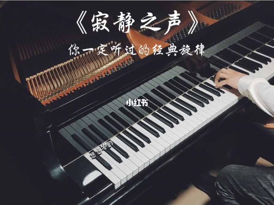 波奇塔_q波_波奇网