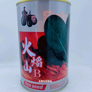 燃烧的蔬菜免费版_燃烧蔬菜3内购破解版_燃烧蔬菜第三季动画片