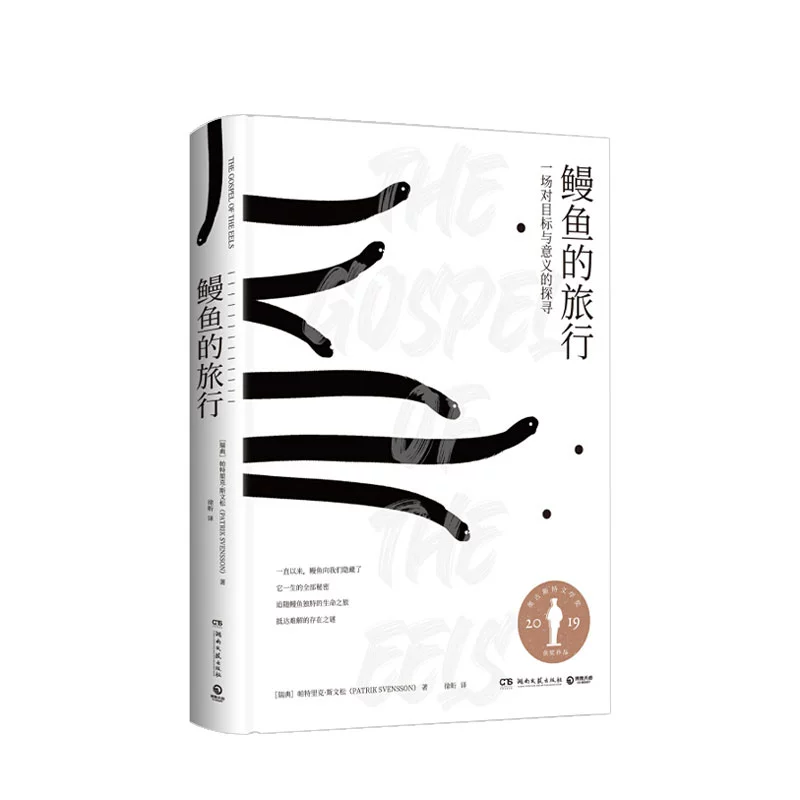 穿越时空,开启奇幻冒险之旅 穿越时空,开启奇幻冒险之旅
