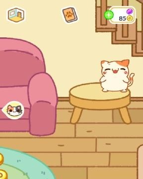 可爱小猫咪 游戏_猫咪可爱游戏小视频_猫咪超可爱游戏