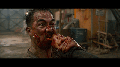 斗狗视频_斗狗视频播放_视频斗狗在线观看