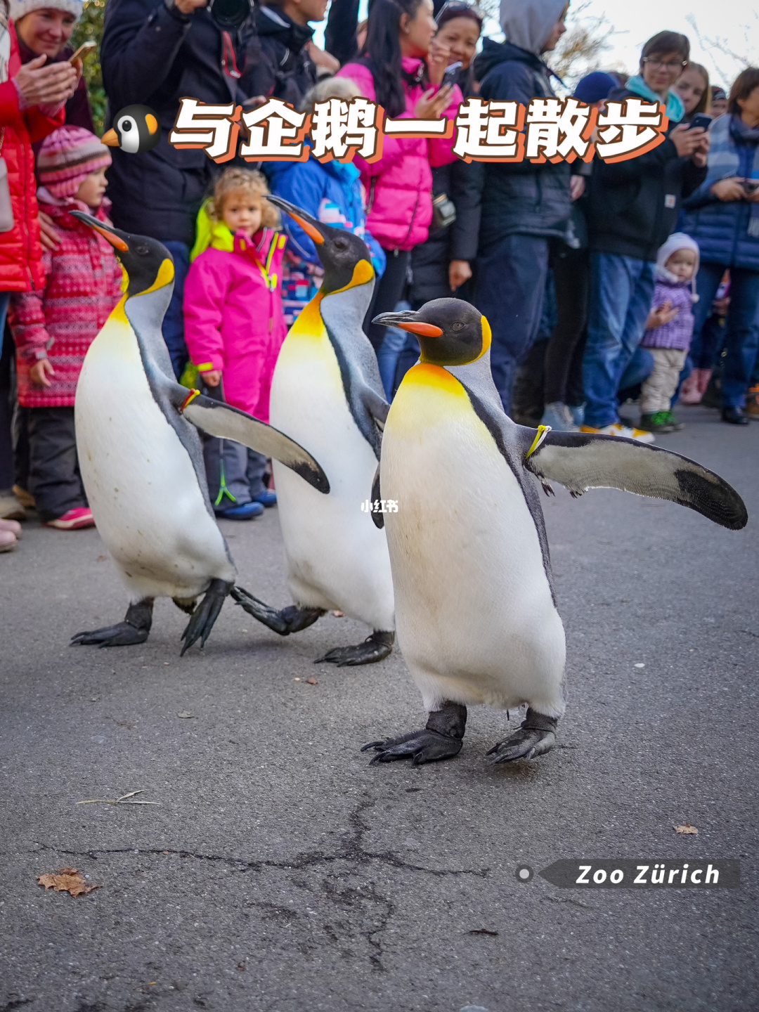 q版游戏ui_q版小游戏_q版游戏排行榜