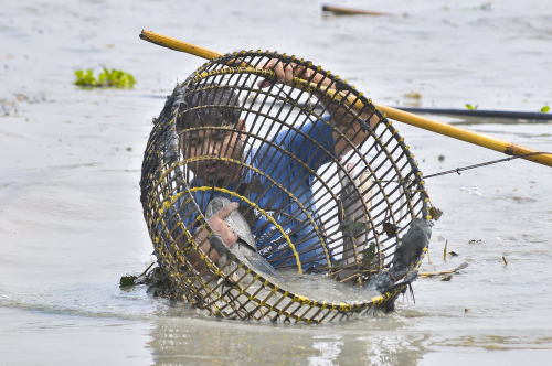 捕鱼大玩咖破解版下载_大咖捕鱼_捕鱼大玩咖可以赚钱吗