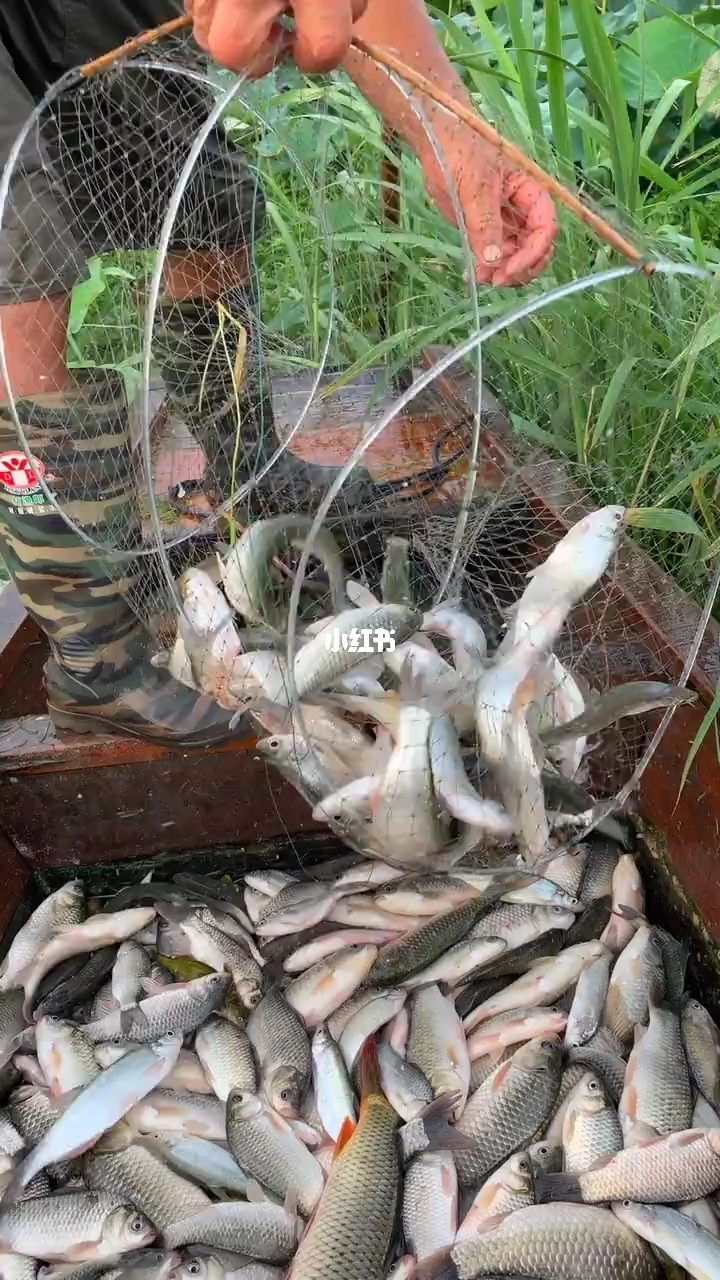 捕鱼大玩咖可以赚钱吗_捕鱼大玩咖破解版下载_大咖捕鱼