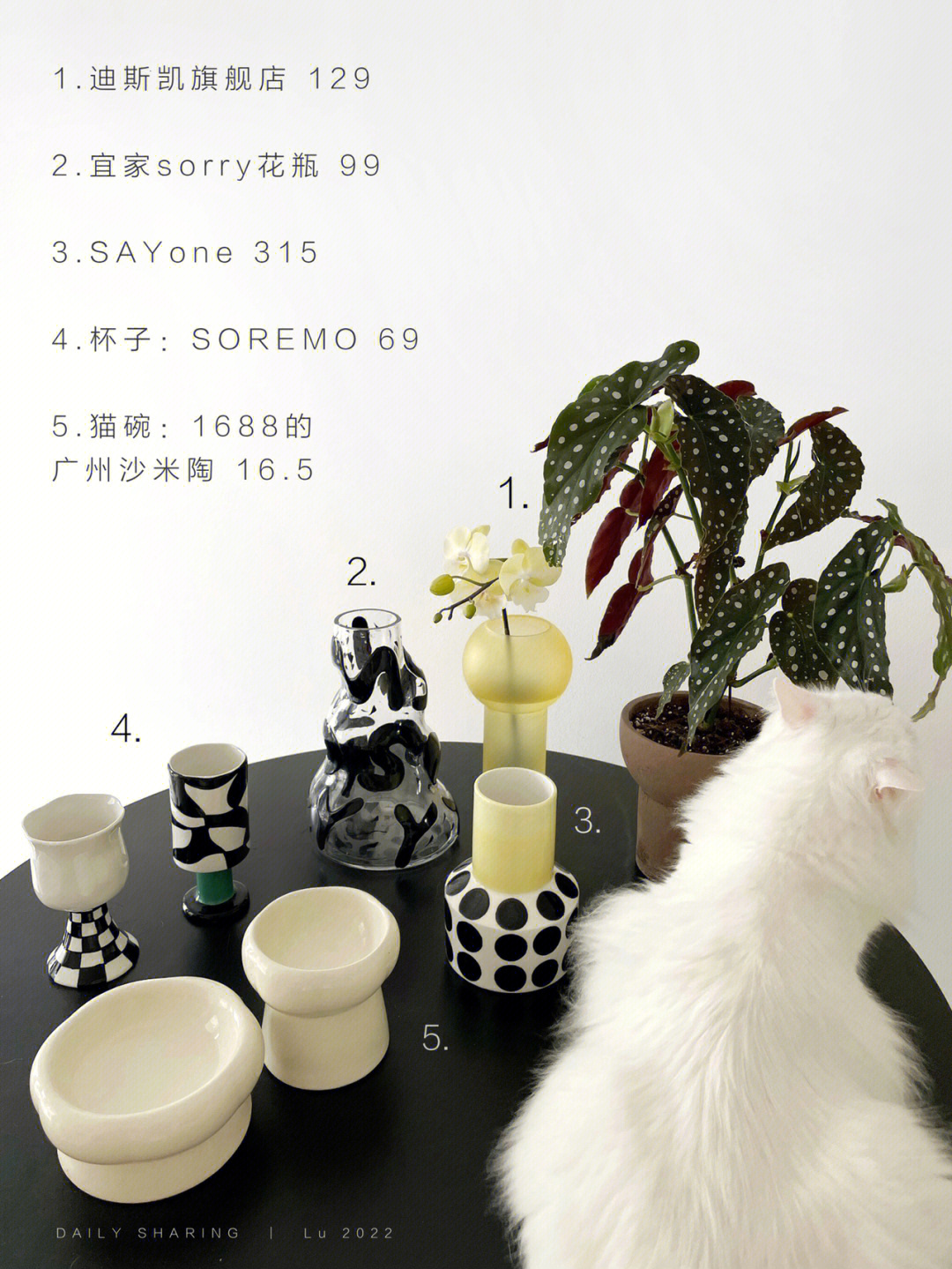 快喵成人