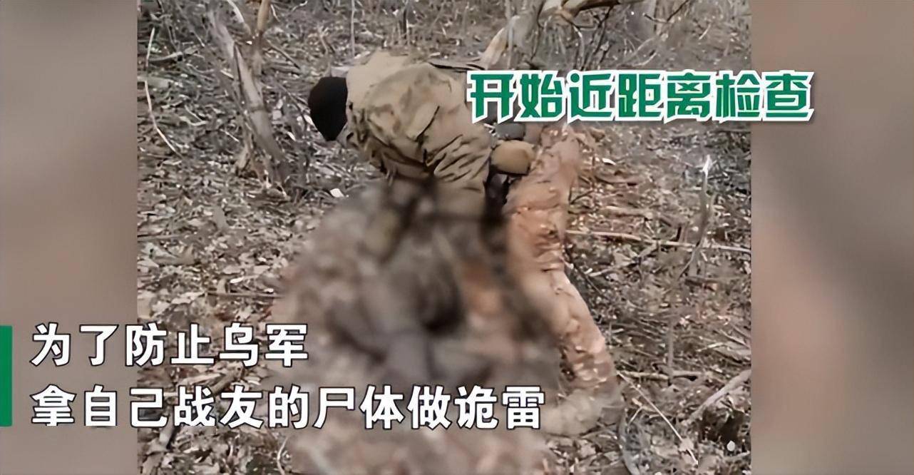 穿越火线狼牙战队队长_穿越火线手游m4a1狼牙_穿越火线狼牙之战