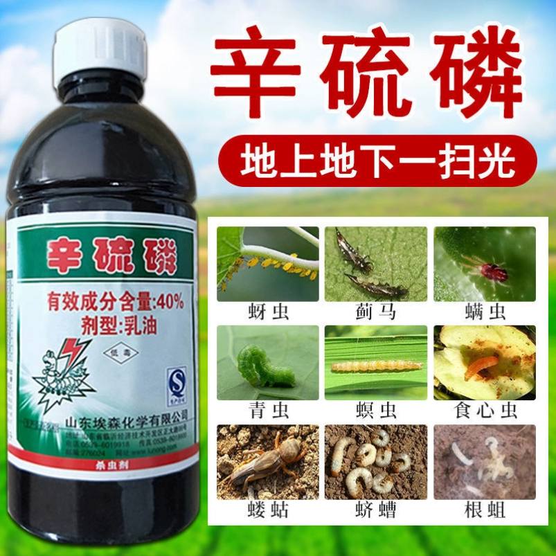 水果大战害虫害虫血量_水果大战害虫_大战害虫水果图片大全