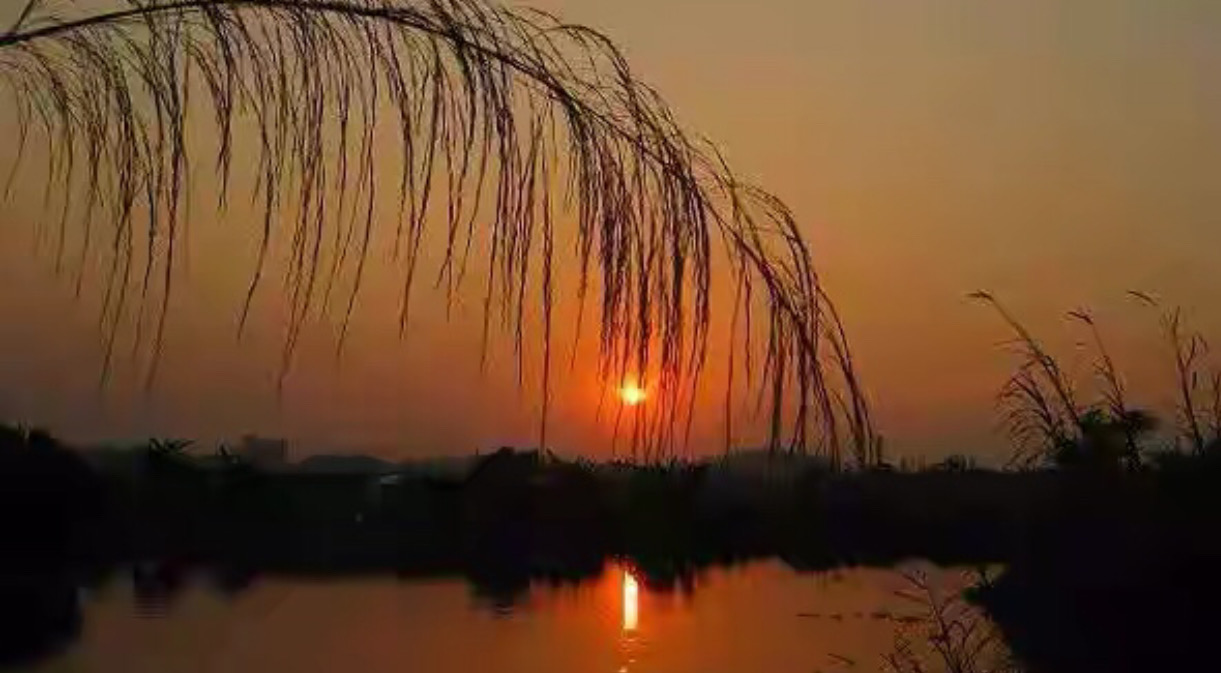 日落黄昏时_黄昏日落时的湖_爱在黄昏日落时