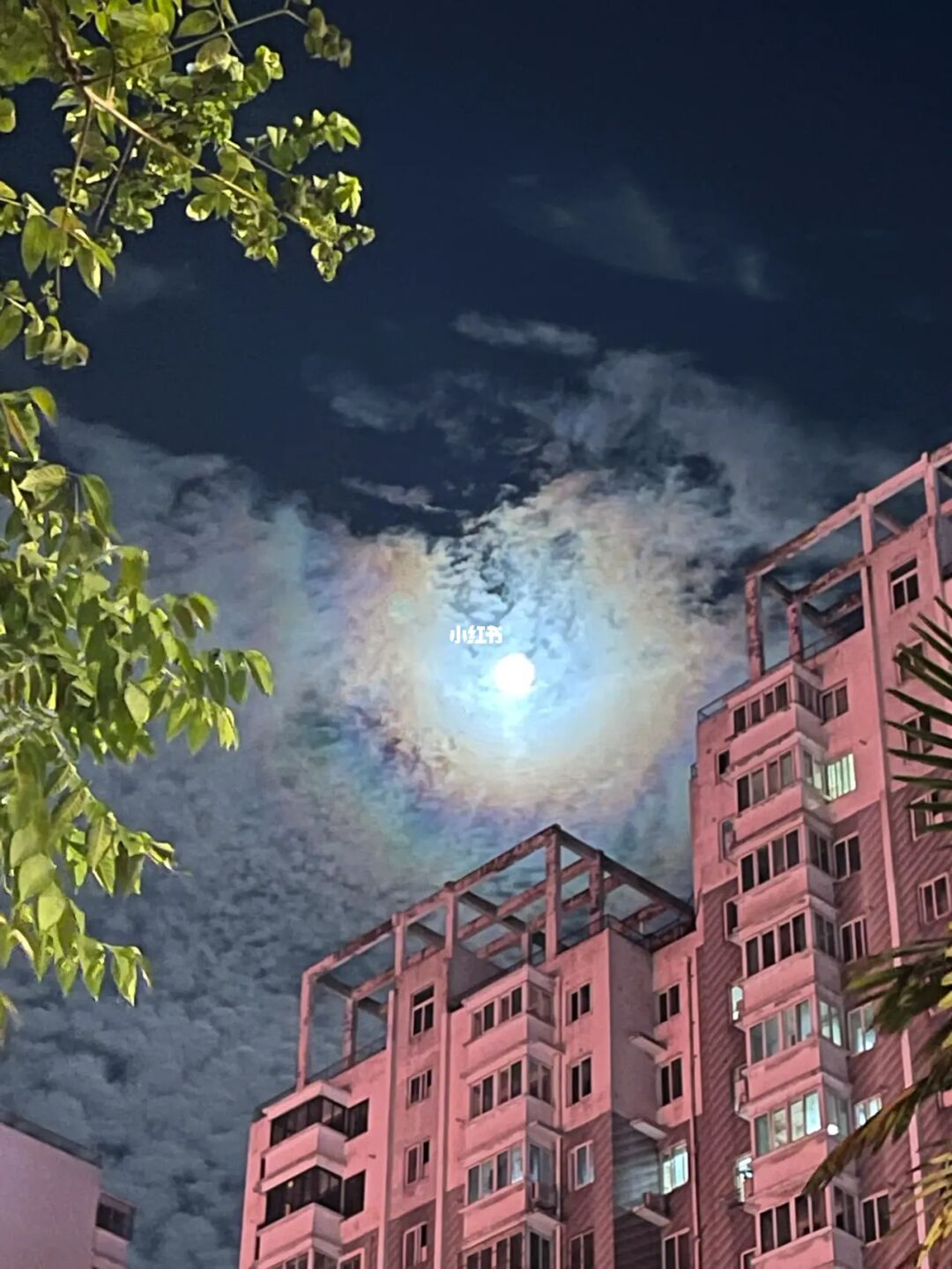 虹月