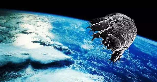 星际传说老公是送的_星际传说_星际传说2