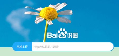 百度识图网页网址_百度识图网页版登录入口_百度识图网页版入口