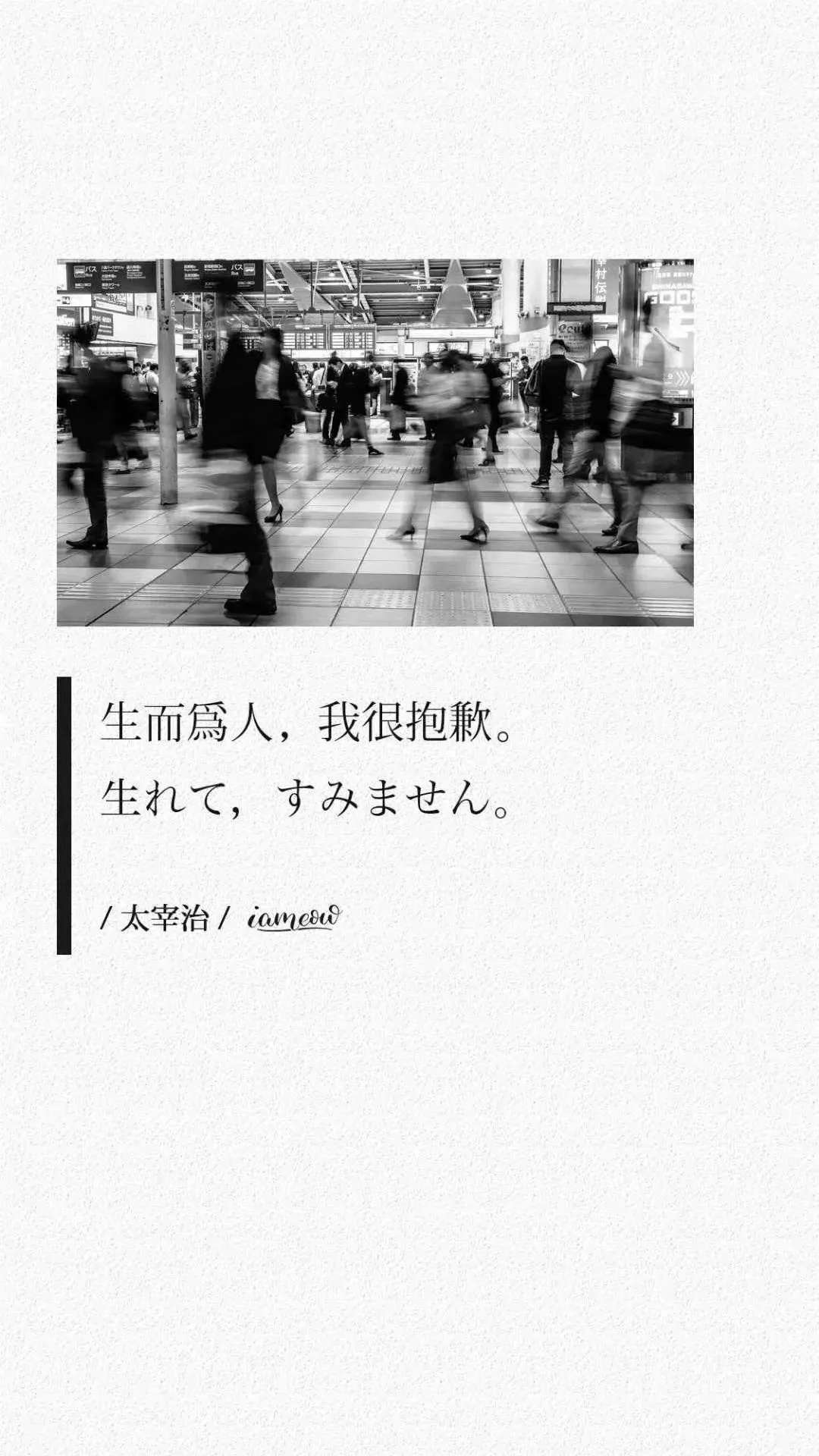 生而为人我很抱歉是什么意思_抱歉生而为人是谁说的_很抱歉生而为人什么意思
