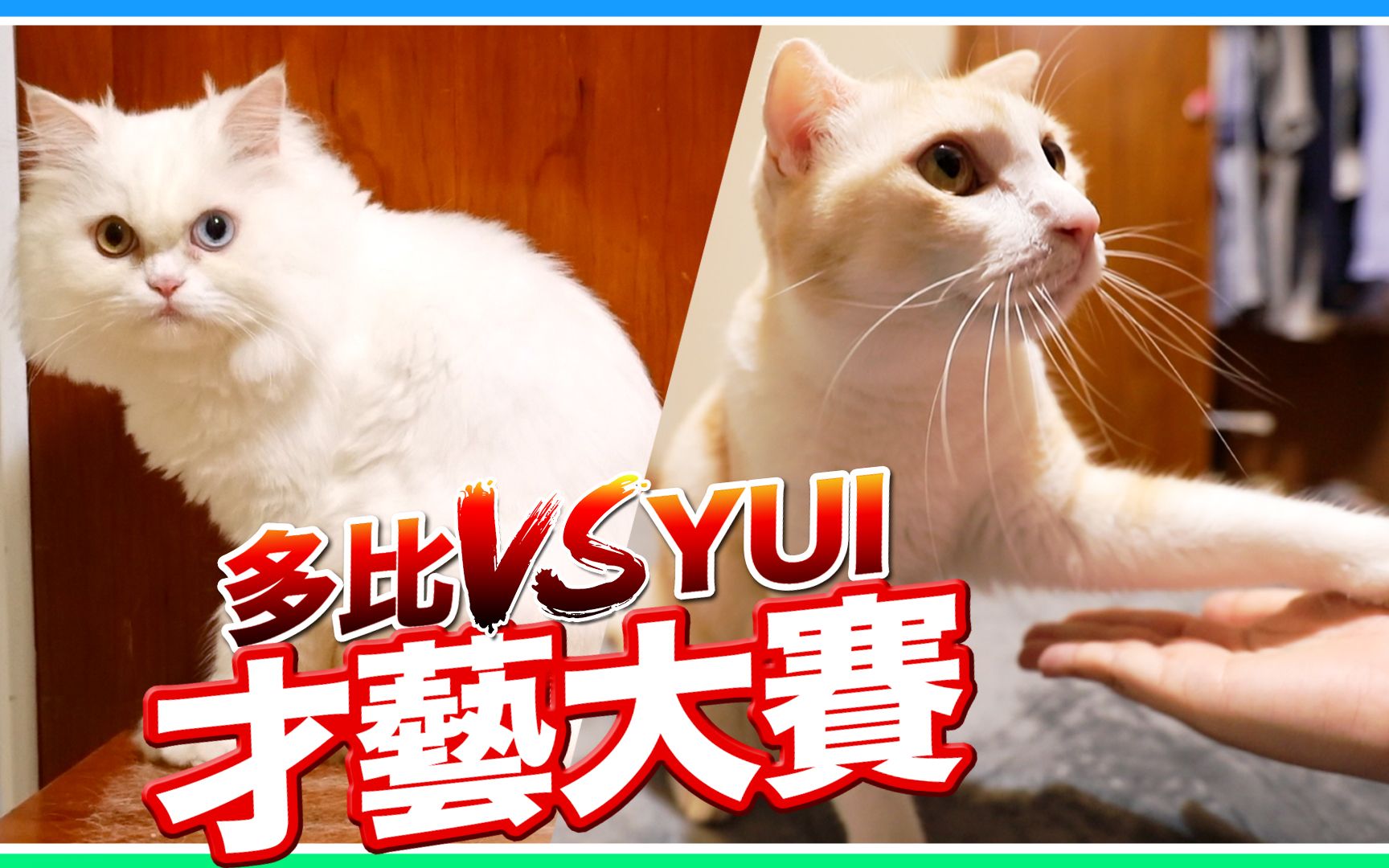 百变大咖秀百变52下载_百变大咖秀百变52全集_百变猫咪秀