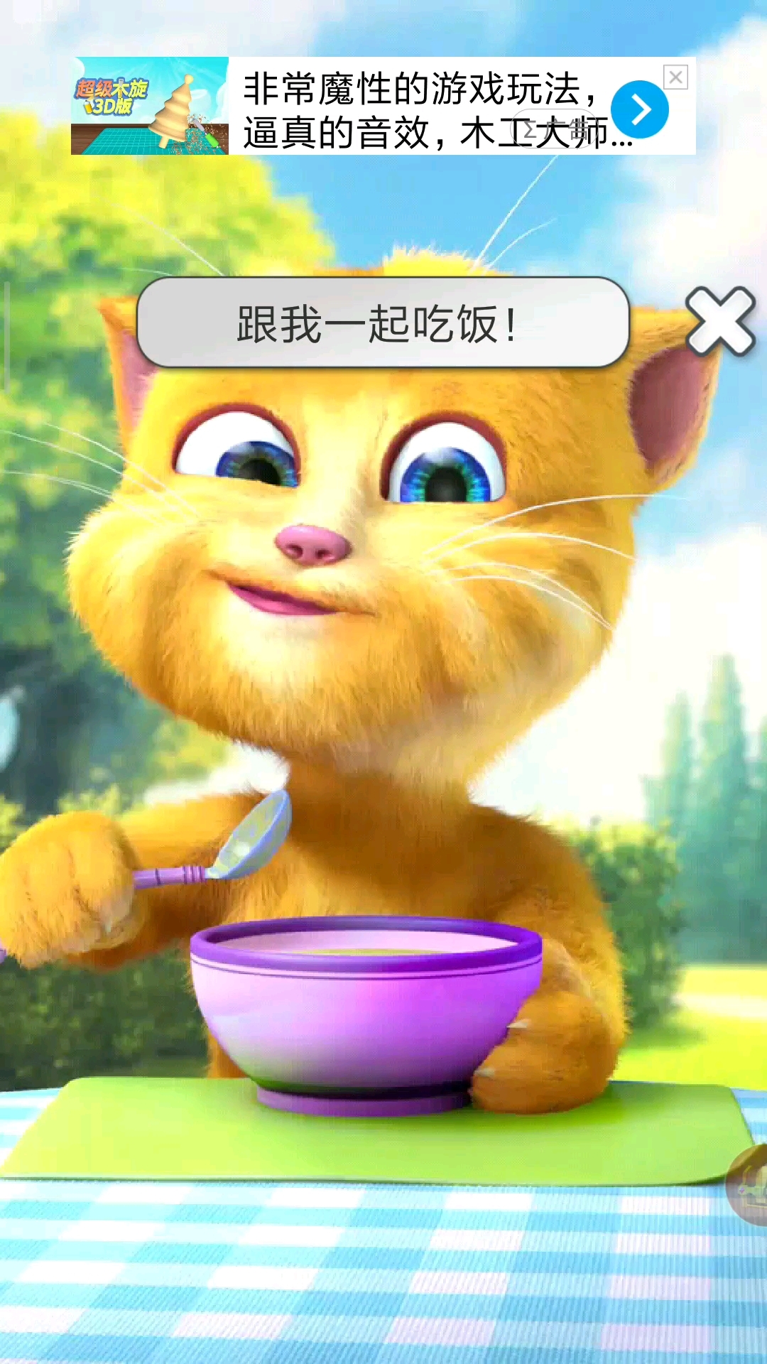 猫金杰猫_金杰猫_会说话的金杰猫2