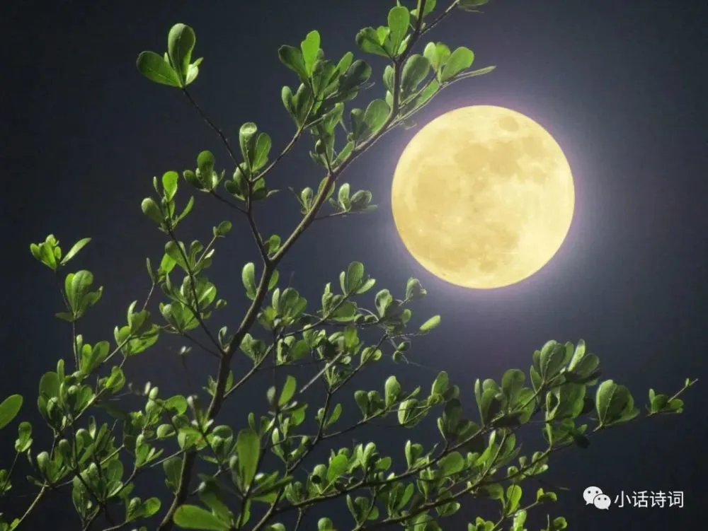 时月_时月直播30万星钻是多少_时月充值链接