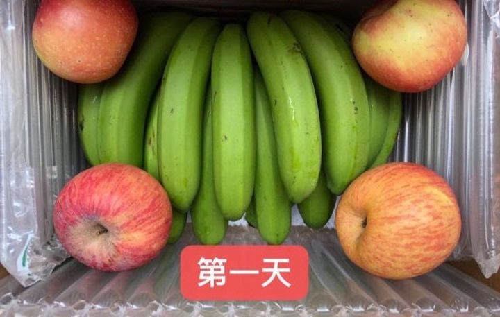 水果大战:无敌集结,害虫退散 水果大战:无敌集结,害虫退散