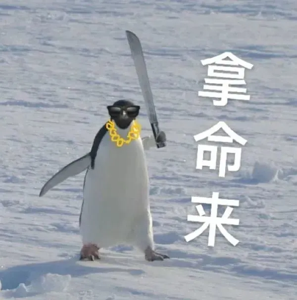 企鹅肉梗图片_笑死企鹅肉是什么梗_企鹅肉细思极恐