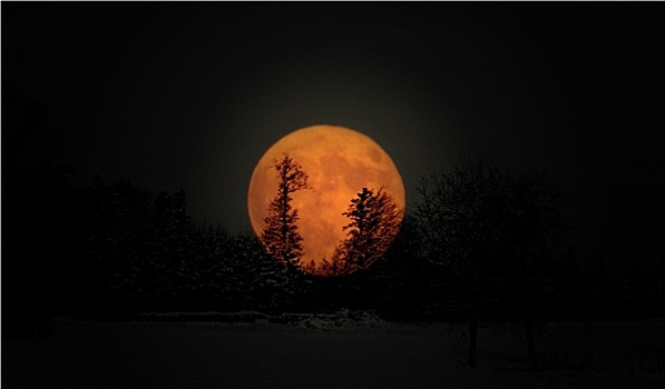 夕月_夕月出生的人怎么样_夕月做名字的寓意