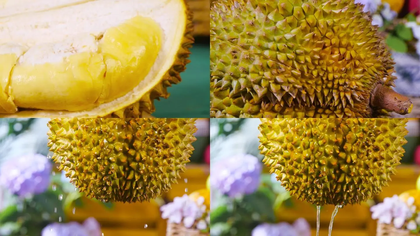 视频观看在线榴莲免费_榴莲视频免费在线观看_视频观看在线榴莲免费网站
