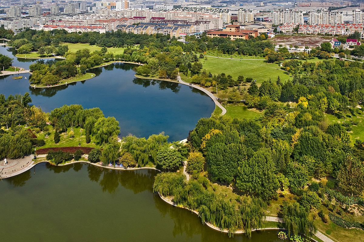 模拟市长_模拟市长_模拟市长
