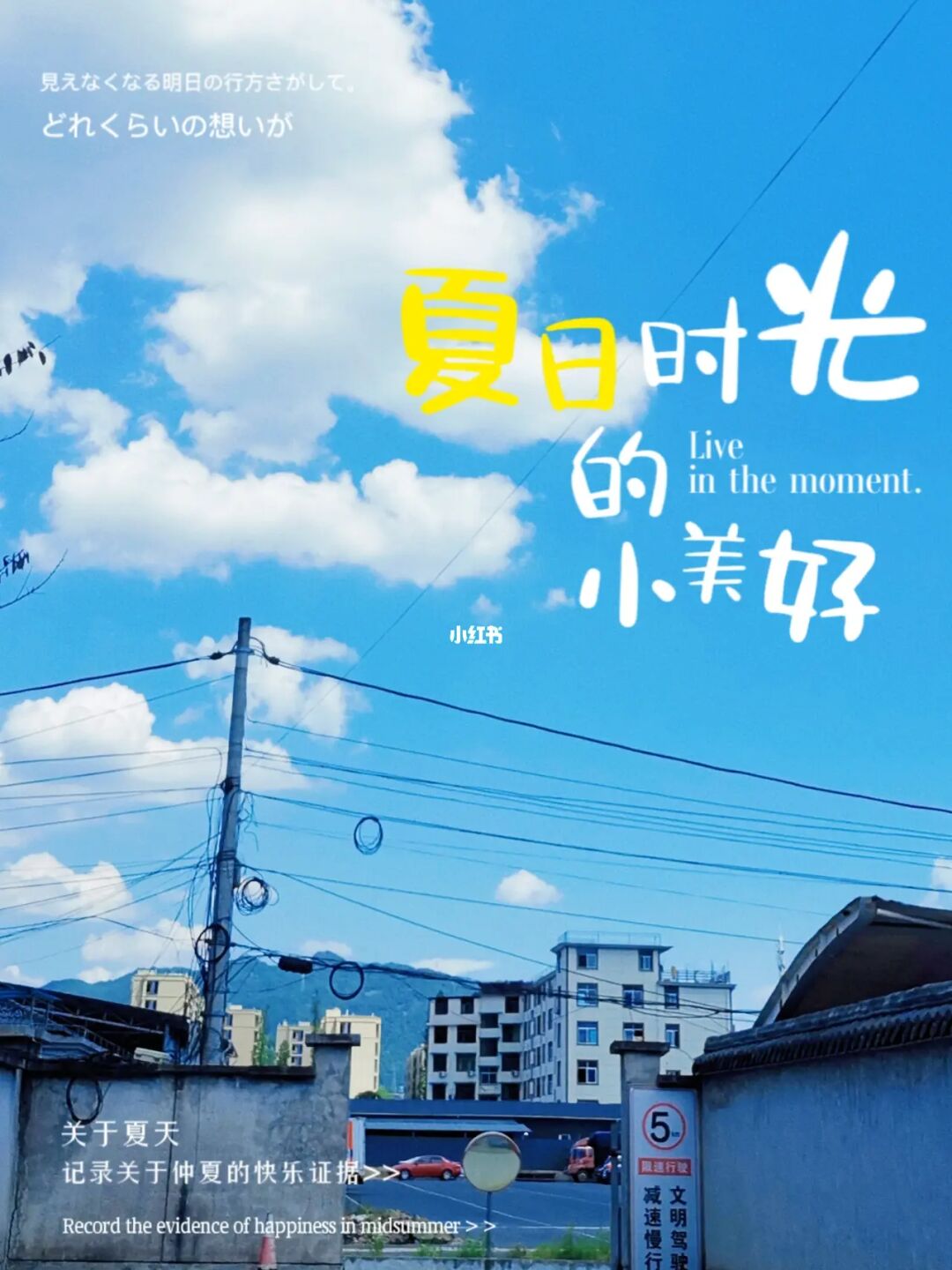 世界被夏色泡影照亮